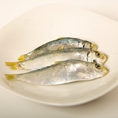 띠포리 / 남해안 삼천포 은빛멸치 국물용 띠포리(밴댕이) 250g 500g