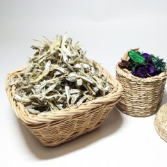 자멸 / 남해안 삼천포 은빛멸치 볶음멸치 가이리 1.5kg