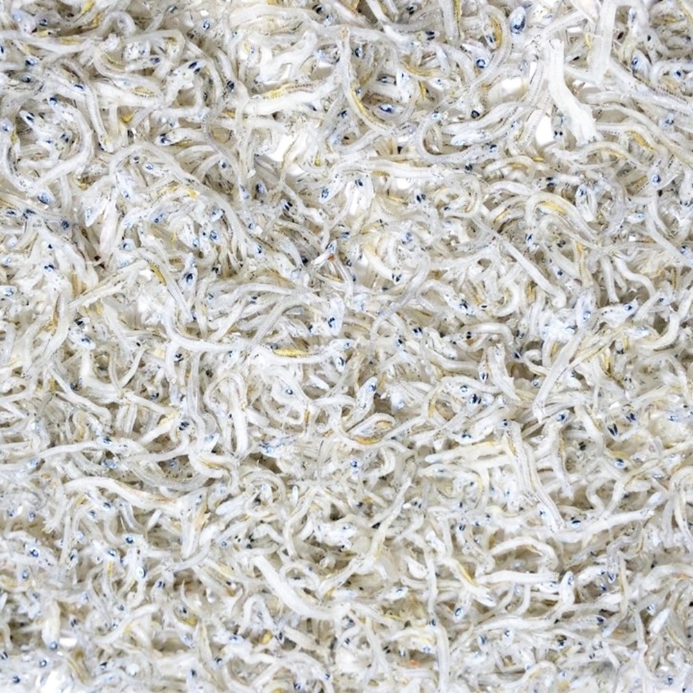 세멸 / 남해안 삼천포 은빛멸치 볶음멸치 지리 250g 500g