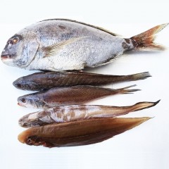 반건조 제수용 / 삼천포 용궁수산시장 반건조생선 제수용 상품모음