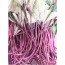고구마줄기/생고구마순 -해풍 맞고 자란 싱싱하고 아삭한 삼천포 고구마줄기 2kg 홍대
