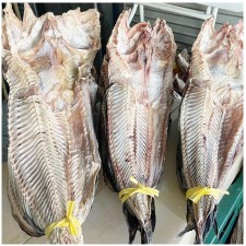 남해안 삼천포 자연산 건조 물메기 2미 1세트