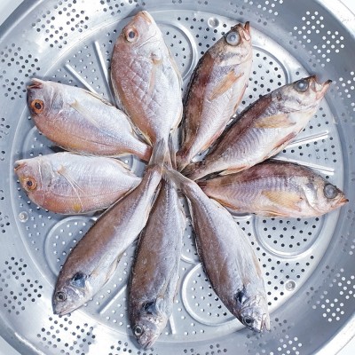 삼천포 용궁수산시장 반건조 생선(소) -꽃돔/볼락/백조기/자두가자미 만원의행복