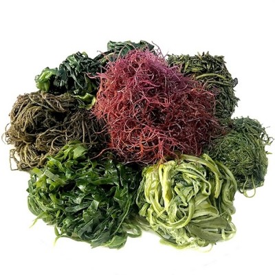 염장해초 / 전남 장흥산 장흥해초 염장해초 1kg - 꼬시래기 다시마 미역 미역줄기 톳