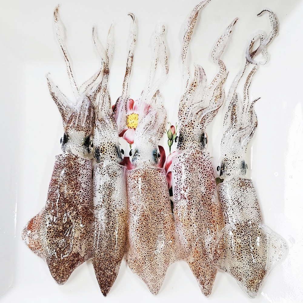 호래기 / 남해안 삼천포 신선 자연산 꼴뚜기 급냉 호래기 500g