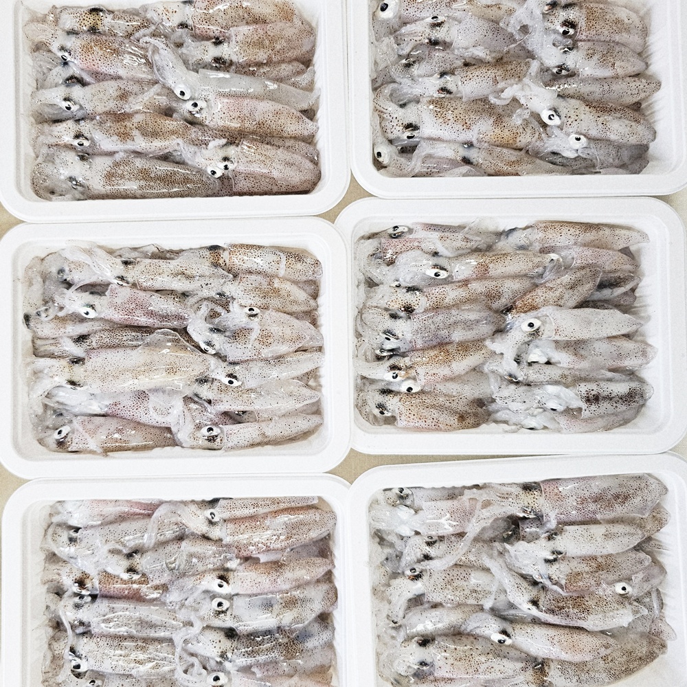 호래기 / 남해안 삼천포 신선 자연산 꼴뚜기 급냉 호래기 500g