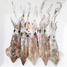 호래기 / 남해안 삼천포 신선 자연산 꼴뚜기 급냉 호래기 500g
